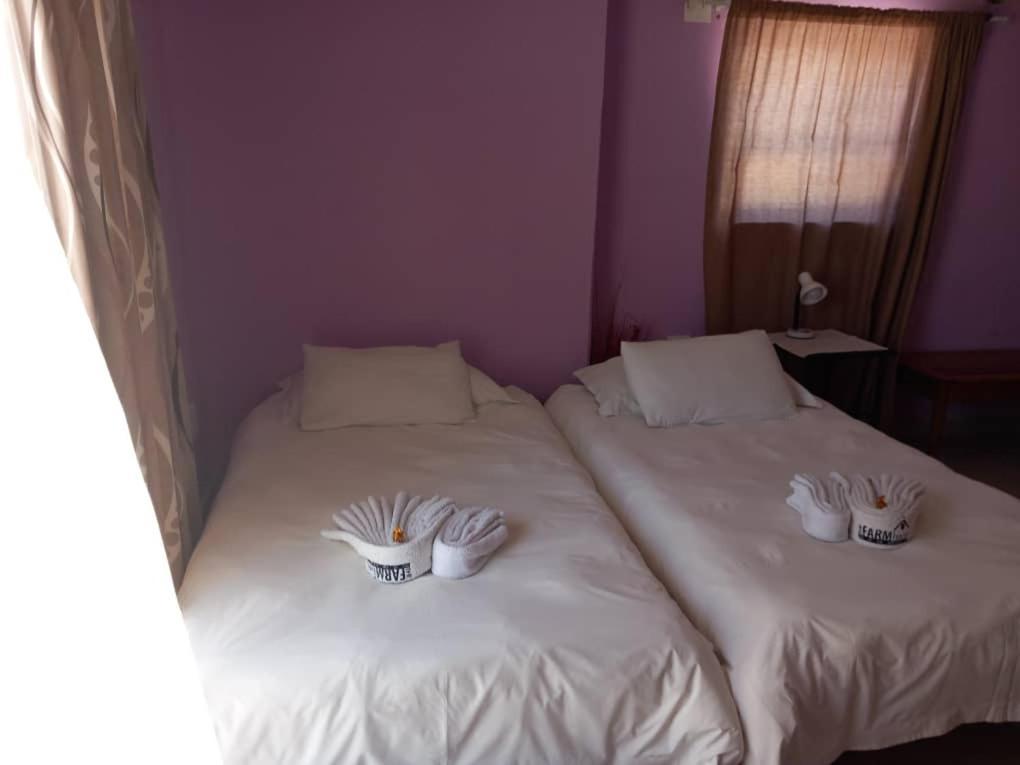 The Farmhouse Boutique Guesthouse And Beergarden Cc Outjo Zewnętrze zdjęcie