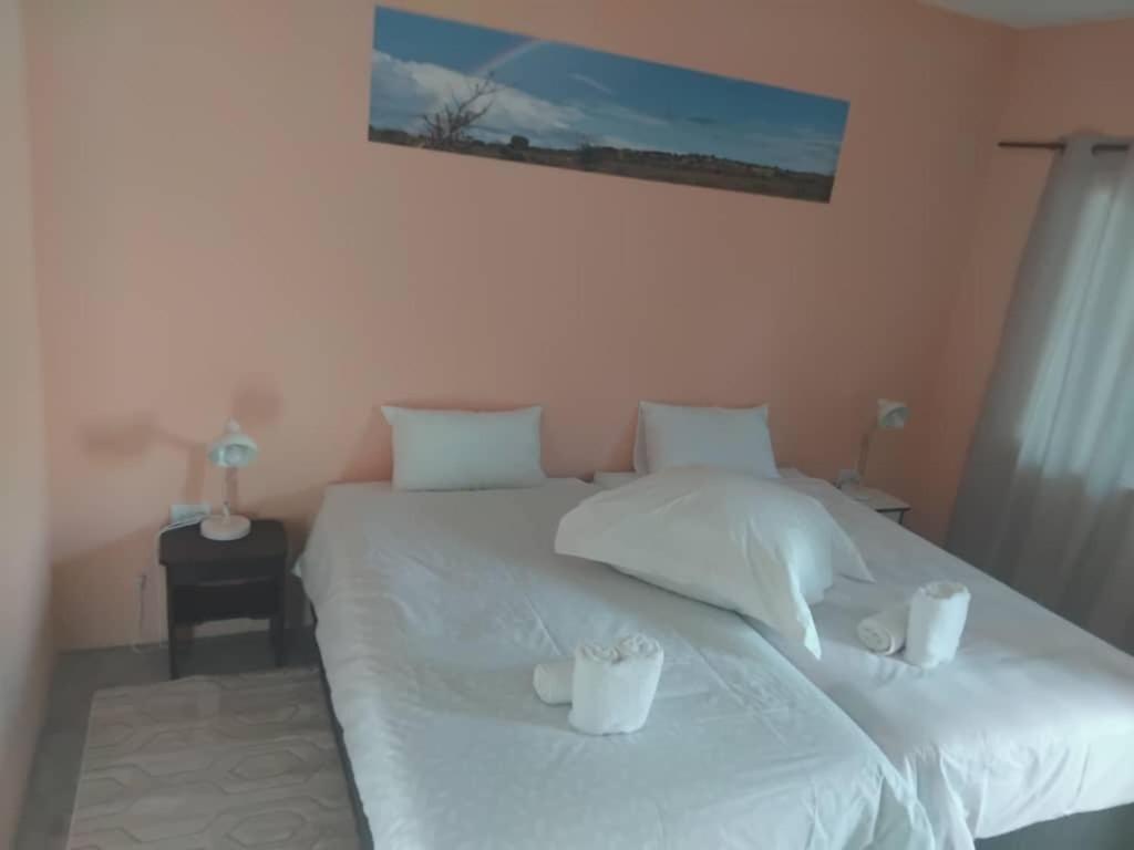 The Farmhouse Boutique Guesthouse And Beergarden Cc Outjo Zewnętrze zdjęcie